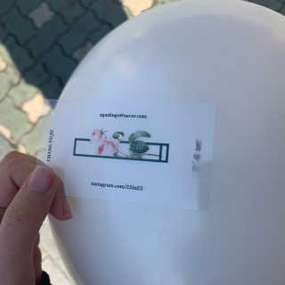 유주니아님이 올린 리뷰 사진 4