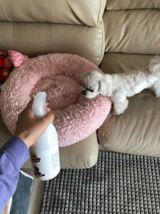 꾸나님이 올린 리뷰 사진 4
