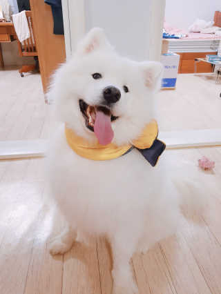 박선정님이 올린 리뷰 사진 1