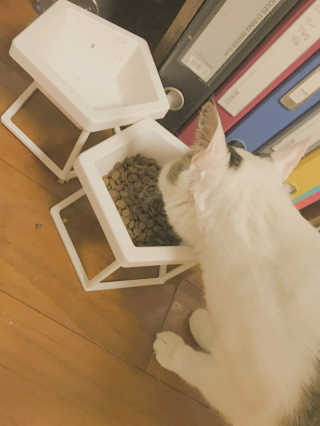 보라솜님이 올린 리뷰 사진 2