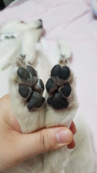 블리블리♡은블리♡님이 올린 리뷰 사진 3