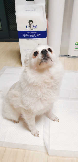 으콩님이 올린 리뷰 사진 2