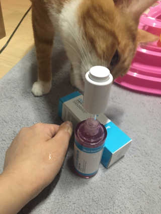 밍밍이이잉님이 올린 리뷰 사진 1