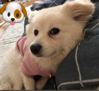 정혜원님이 올린 리뷰 사진 3