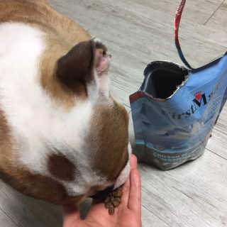 꾸리님이 올린 리뷰 사진 1