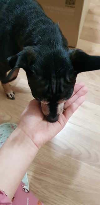 송돌핑핑파더님이 올린 리뷰 사진 2