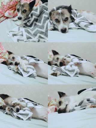 은해짱님이 올린 리뷰 사진 1