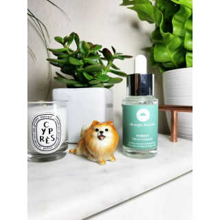 Peepingpomeranian님이 올린 리뷰 사진 1