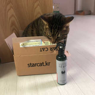 손정영님이 올린 리뷰 사진 3