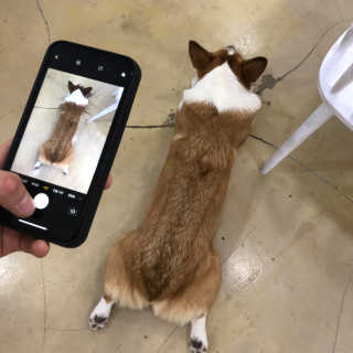 뚭잉님이 올린 리뷰 사진 2