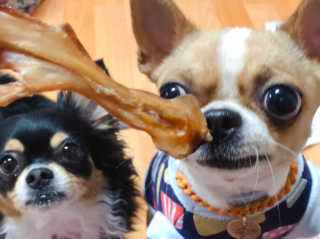 DAL님이 올린 리뷰 사진 4