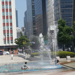 아리님이 올린 리뷰 사진 1