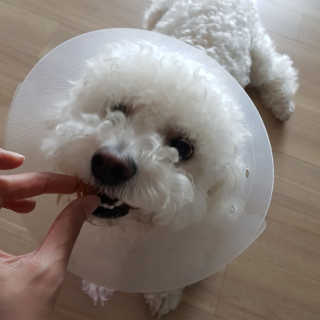 MinheeJo님이 올린 리뷰 사진 3