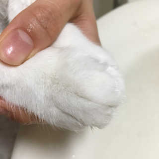 따니님이 올린 리뷰 사진 3