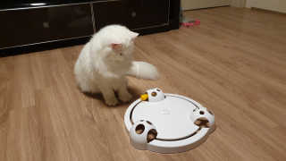 우동한그릇님이 올린 리뷰 사진 3