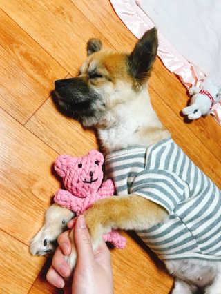 큥이님이 올린 리뷰 사진 2