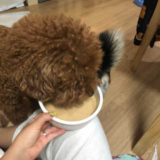 닥터할리펫밀크 5개 — 3.83점을 준 리뷰어가 2018년 5월 올린 사용 사진