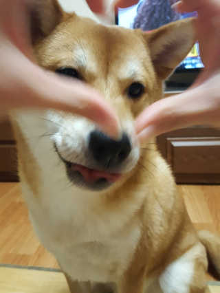 컴백08리터님이 올린 리뷰 사진 2