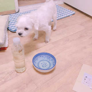 Toud Sam님이 올린 리뷰 사진 3