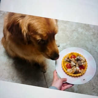 아보카도올리브님이 올린 리뷰 사진 2
