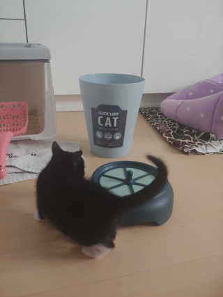 귀연정님이 올린 리뷰 사진 3