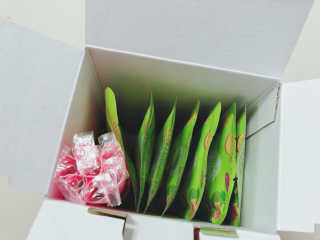 aya님이 올린 리뷰 사진 3