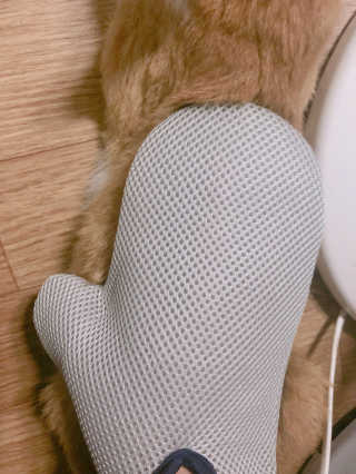 Four paws 리뉴얼 포포즈 매직코트 털 제거 브러쉬 — 5점을 준 리뷰어가 2018년 8월 올린 사용 사진