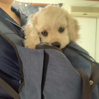 Ghhryh님이 올린 리뷰 사진 2