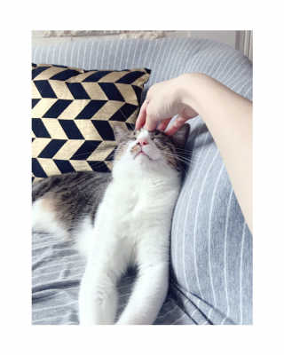 글라라5205님이 올린 리뷰 사진 1