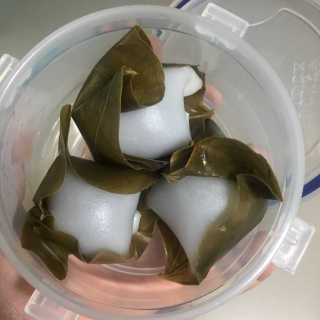 비니뿌님이 올린 리뷰 사진 1