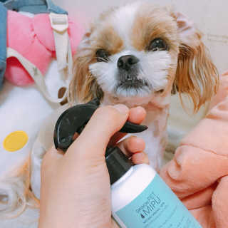 진주성님이 올린 리뷰 사진 3