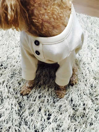 에드님이 올린 리뷰 사진 2