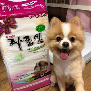 럽영님이 올린 리뷰 사진 2