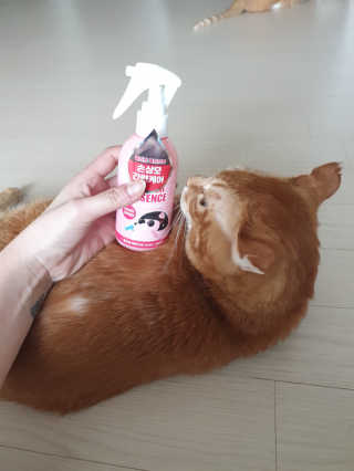 강미주님이 올린 리뷰 사진 3