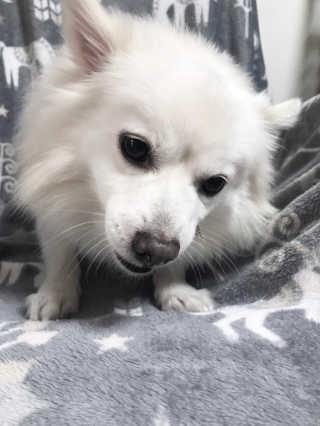 MIMI님이 올린 리뷰 사진 2