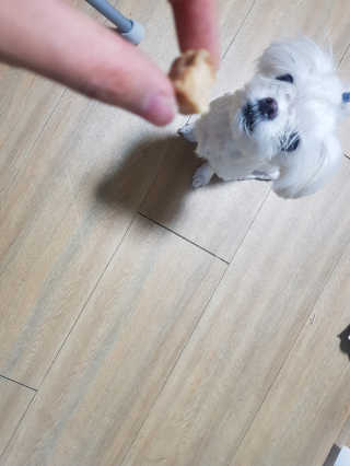 이다솜님이 올린 리뷰 사진 3