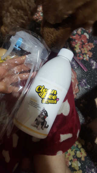 꾹꾹이님이 올린 리뷰 사진 2