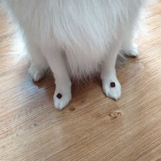 복디누나님이 올린 리뷰 사진 3