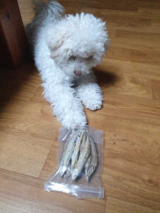 찐멍멍이님이 올린 리뷰 사진 3