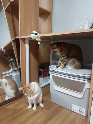 헐크갱크🌱님이 올린 리뷰 사진 2