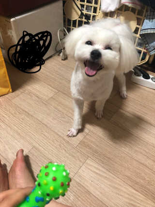 뉼뉼뉼님이 올린 리뷰 사진 2