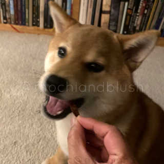 mochiandblush님이 올린 리뷰 사진 4