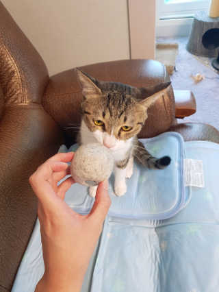 아네미아님이 올린 리뷰 사진 2