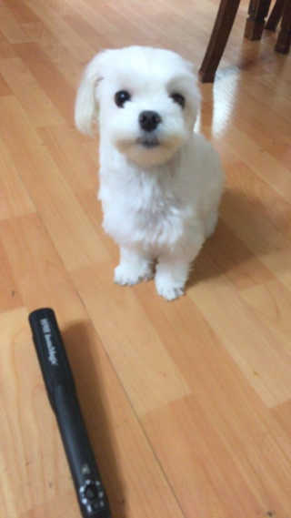 박은비님이 올린 리뷰 사진 1