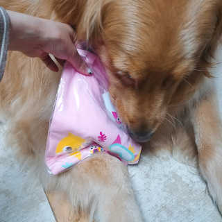 아보카도올리브님이 올린 리뷰 사진 2
