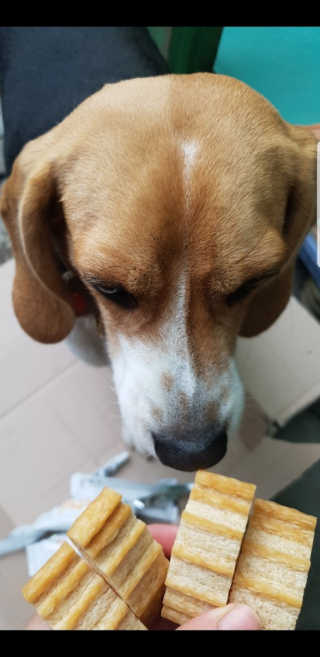 beaglelove님이 올린 리뷰 사진 4