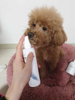 올리브님이 올린 리뷰 사진 1