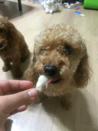 김세희님이 올린 리뷰 사진 3