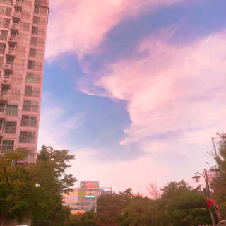 탱이님이 올린 리뷰 사진 1