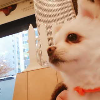 보리님이 올린 리뷰 사진 2